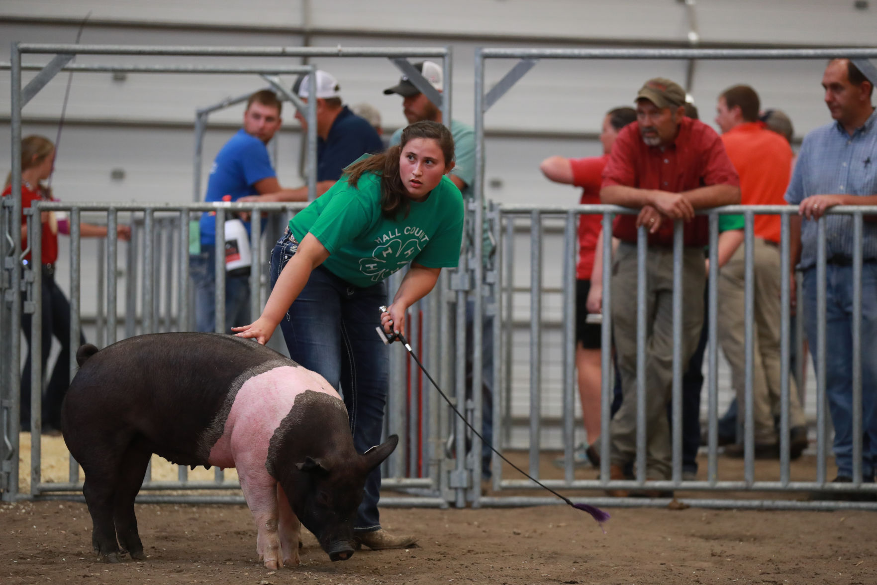071119_HallCoFair31_bjs.JPG